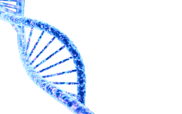 Genomic & molecular profiling