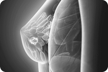 Default image description