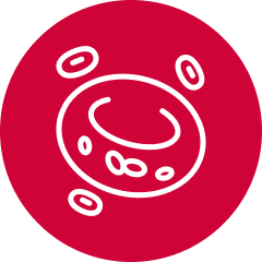 Blood cancers icon
