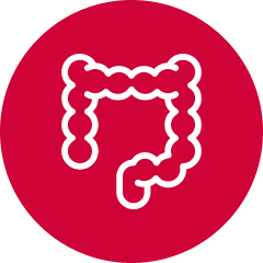 Colorectal cancer icon