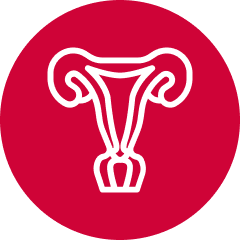 Gynecologic cancers icon