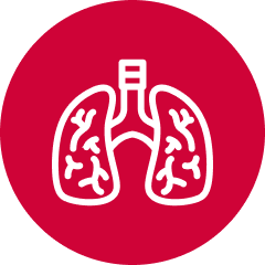 Lung cancer icon