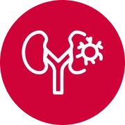 Kidney Cancer icon