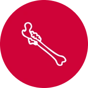 Bone Tumors & Metastases icon